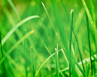 电话号码轰炸app